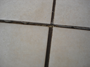 excessive-grout-not-removed-between-tiles-prior-to-grouting